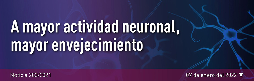 Noticia 203